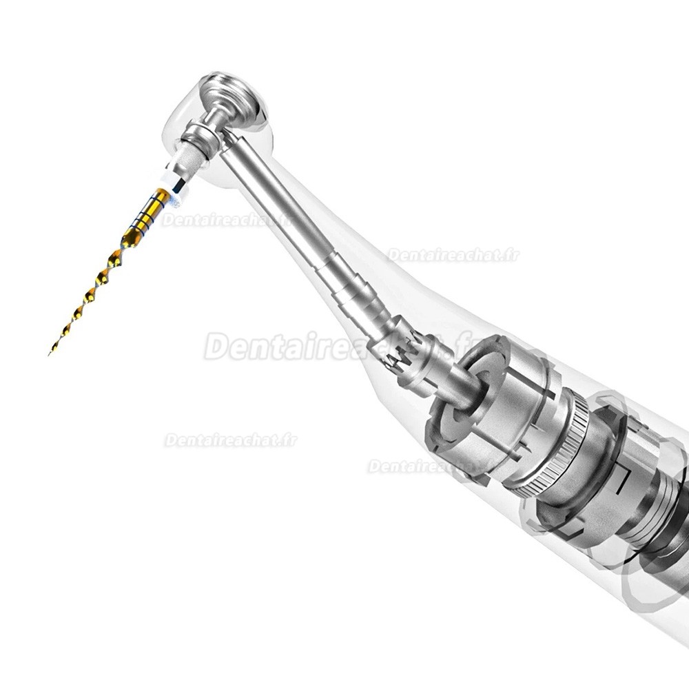 Moteur endo dentaire sans fil avec localisateur d'apex & reciproc